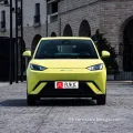 2023 New Byd Sea-Gull EV New Energy Electric Car/China Car/Most Popular Car/4 Seats/305km/405km/Seagull Sea